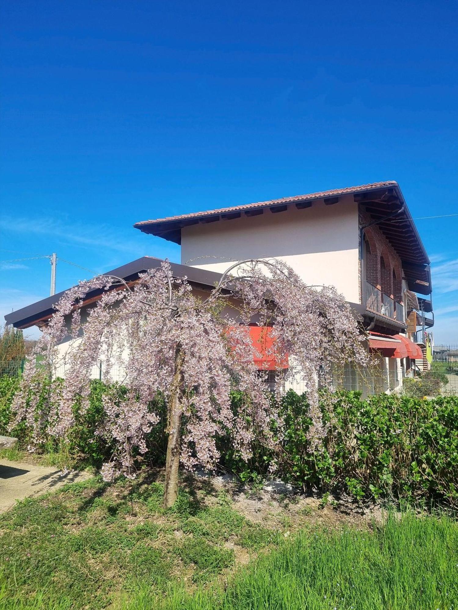 Bed and Breakfast Cascina La Demilana Bibiana Экстерьер фото