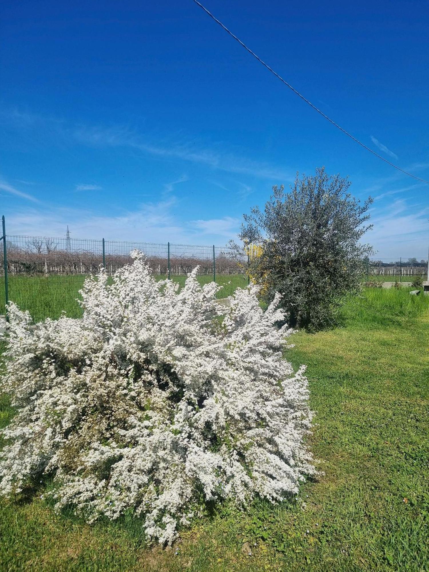 Bed and Breakfast Cascina La Demilana Bibiana Экстерьер фото
